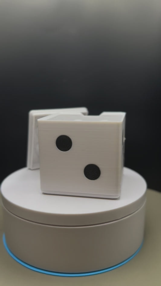 DICE CONTAINER