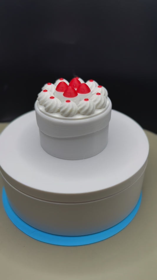 BIRTHDAY  CAKE CONTAINER
